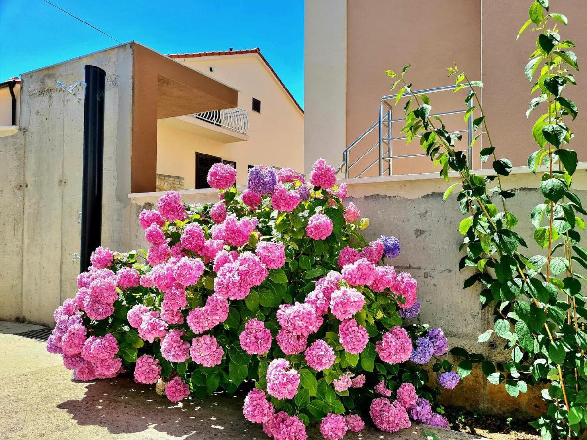 Apartment Ivana โบรดาริตซา ภายนอก รูปภาพ
